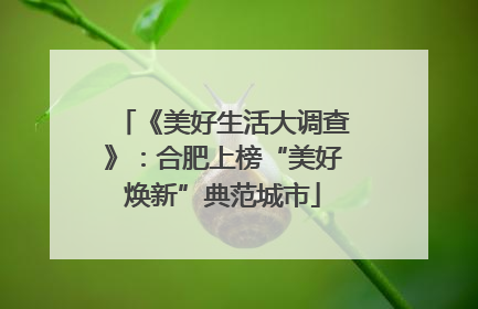 《美好生活大调查》：合肥上榜“美好焕新”典范城市