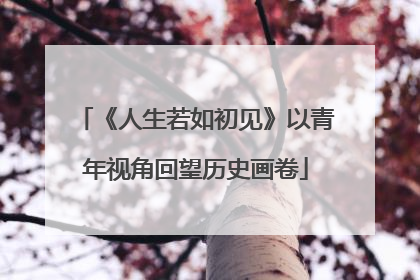 《人生若如初见》以青年视角回望历史画卷