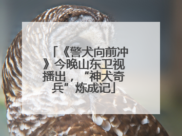 《警犬向前冲》今晚山东卫视播出，“神犬奇兵”炼成记
