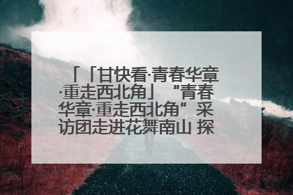 「甘快看·青春华章·重走西北角」“青春华章·重走西北角”采访团走进花舞南山 探寻天水乡村振兴之路