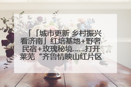 「城市更新 乡村振兴看济南」红培基地+野奢民宿+玫瑰秘境……打开莱芜“齐鲁情映山红片区”的破圈秘籍