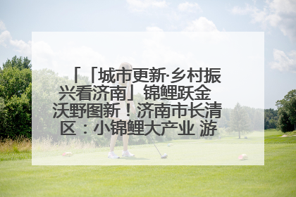 「城市更新·乡村振兴看济南」锦鲤跃金 沃野图新！济南市长清区：小锦鲤大产业 游出农旅新风景