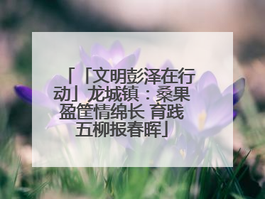 「文明彭泽在行动」龙城镇：桑果盈筐情绵长 育践五柳报春晖
