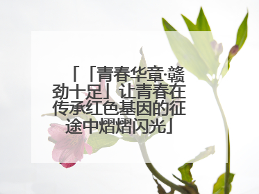 「青春华章·赣劲十足」让青春在传承红色基因的征途中熠熠闪光