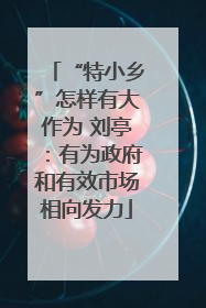 “特小乡”怎样有大作为 刘亭：有为政府和有效市场相向发力