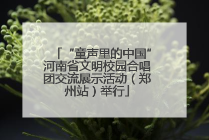 “童声里的中国”河南省文明校园合唱团交流展示活动（郑州站）举行