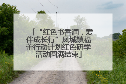 “红色书香润，爱伴成长行”凤城镇福蕾行动计划红色研学活动圆满结束