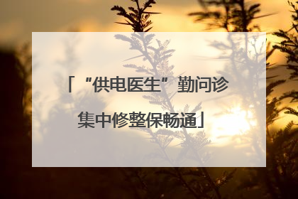 “供电医生”勤问诊 集中修整保畅通