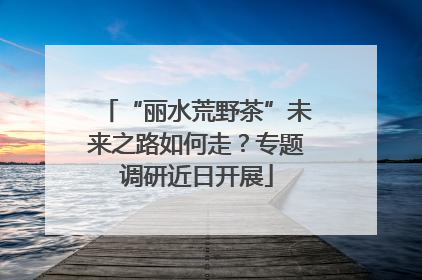“丽水荒野茶”未来之路如何走？专题调研近日开展