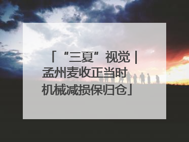 “三夏”视觉｜孟州麦收正当时 机械减损保归仓