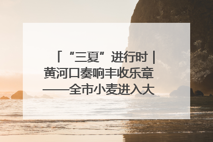 “三夏”进行时｜黄河口奏响丰收乐章——全市小麦进入大面积收获高峰期