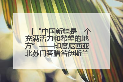 “中国新疆是一个充满活力和希望的地方”——印度尼西亚北苏门答腊省伊斯兰教代表团参访新疆