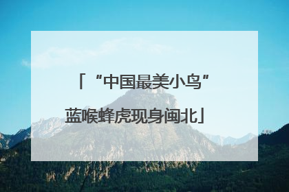 “中国最美小鸟”蓝喉蜂虎现身闽北
