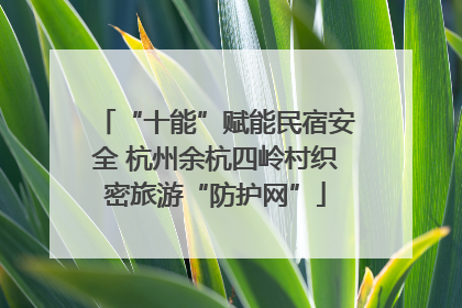 “十能”赋能民宿安全 杭州余杭四岭村织密旅游“防护网”