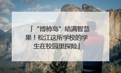 “博柿岛”结满智慧果！松江这所学校的学生在校园里探险