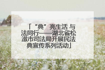 “典”亮生活 与法同行——湖北省松滋市司法局开展民法典宣传系列活动