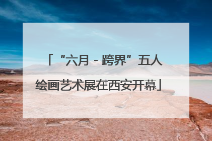 “六月 - 跨界”五人绘画艺术展在西安开幕