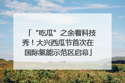 “吃瓜”之余看科技秀！大兴西瓜节首次在国际氢能示范区启幕