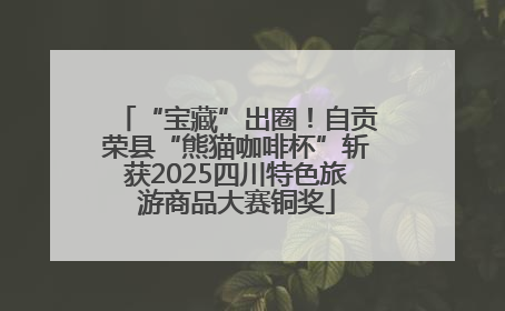 “宝藏”出圈！自贡荣县“熊猫咖啡杯”斩获2025四川特色旅游商品大赛铜奖