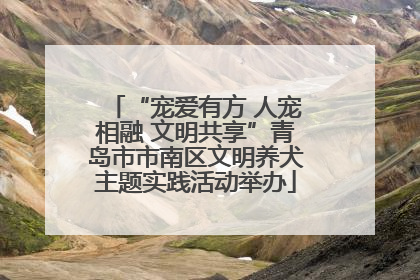 “宠爱有方 人宠相融 文明共享”青岛市市南区文明养犬主题实践活动举办