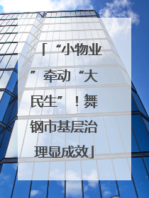 “小物业”牵动“大民生”！舞钢市基层治理显成效