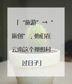 “旅游”→“旅创”，他们在云南这个理想村过日子