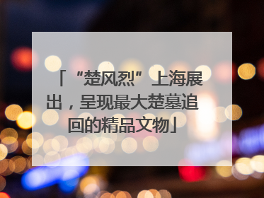 “楚风烈”上海展出，呈现最大楚墓追回的精品文物