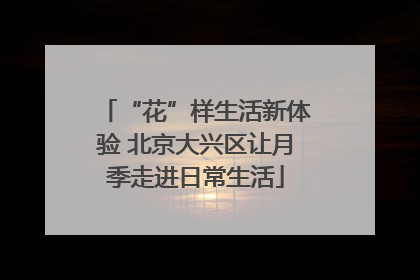 “花”样生活新体验 北京大兴区让月季走进日常生活