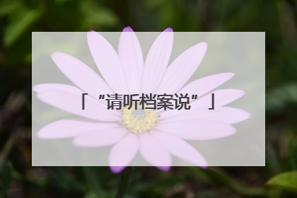 “请听档案说”