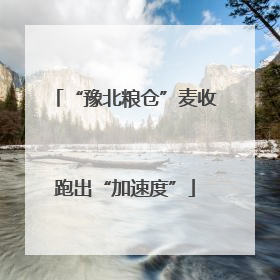 “豫北粮仓”麦收跑出“加速度”