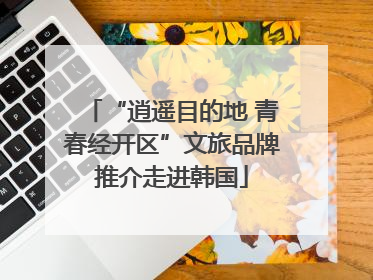“逍遥目的地 青春经开区”文旅品牌推介走进韩国