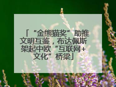 “金熊猫奖”助推文明互鉴，布达佩斯架起中欧“互联网+文化”桥梁
