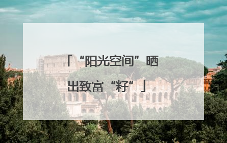 “阳光空间”晒出致富“籽”