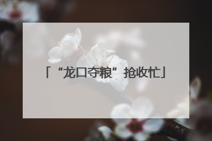 “龙口夺粮”抢收忙