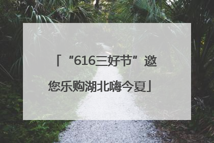 “616三好节”邀您乐购湖北嗨今夏