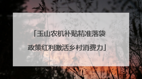 玉山农机补贴精准落袋 政策红利激活乡村消费力