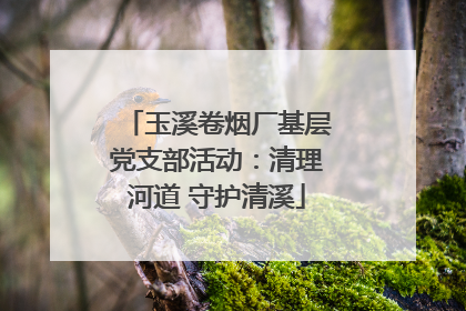玉溪卷烟厂基层党支部活动：清理河道 守护清溪