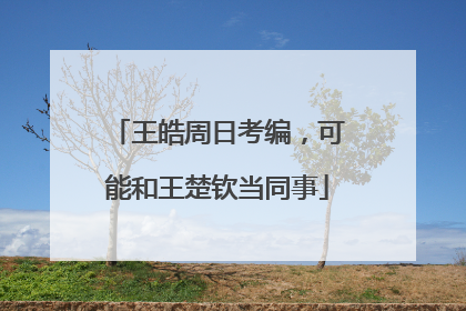 王皓周日考编，可能和王楚钦当同事