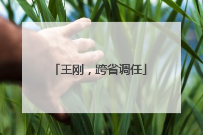 王刚，跨省调任