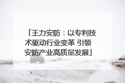 王力安防：以专利技术驱动行业变革 引领安防产业高质量发展