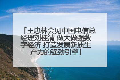 王忠林会见中国电信总经理刘桂清 做大做强数字经济 打造发展新质生产力的强劲引擎