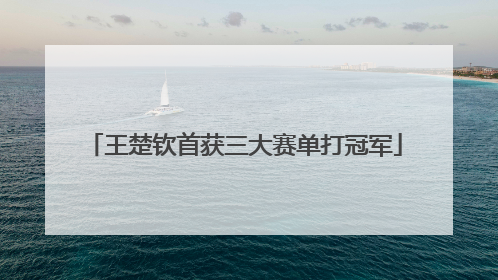 王楚钦首获三大赛单打冠军