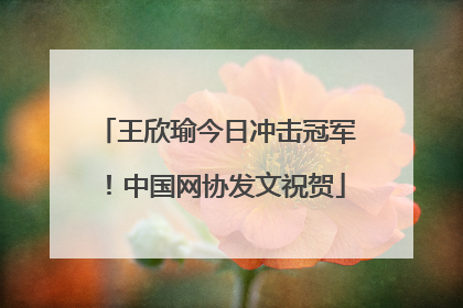 王欣瑜今日冲击冠军！中国网协发文祝贺