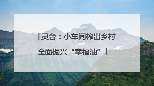 灵台：小车间榨出乡村全面振兴“幸福油”