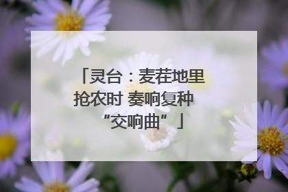 灵台：麦茬地里抢农时 奏响复种“交响曲”