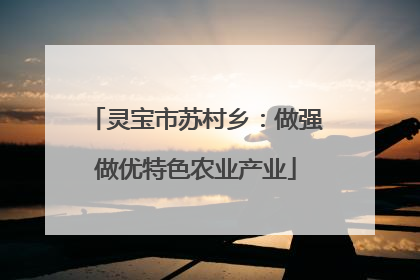 灵宝市苏村乡：做强做优特色农业产业