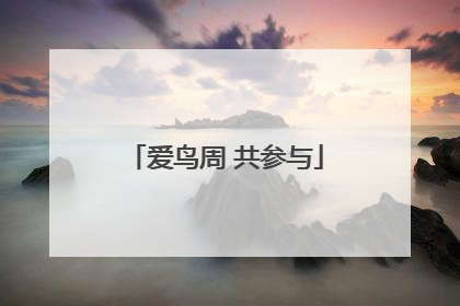 爱鸟周 共参与