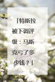 特斯拉被下调评级：马斯克亏了多少钱？