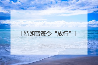 特朗普签令“放行”