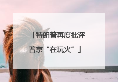 特朗普再度批评普京“在玩火”